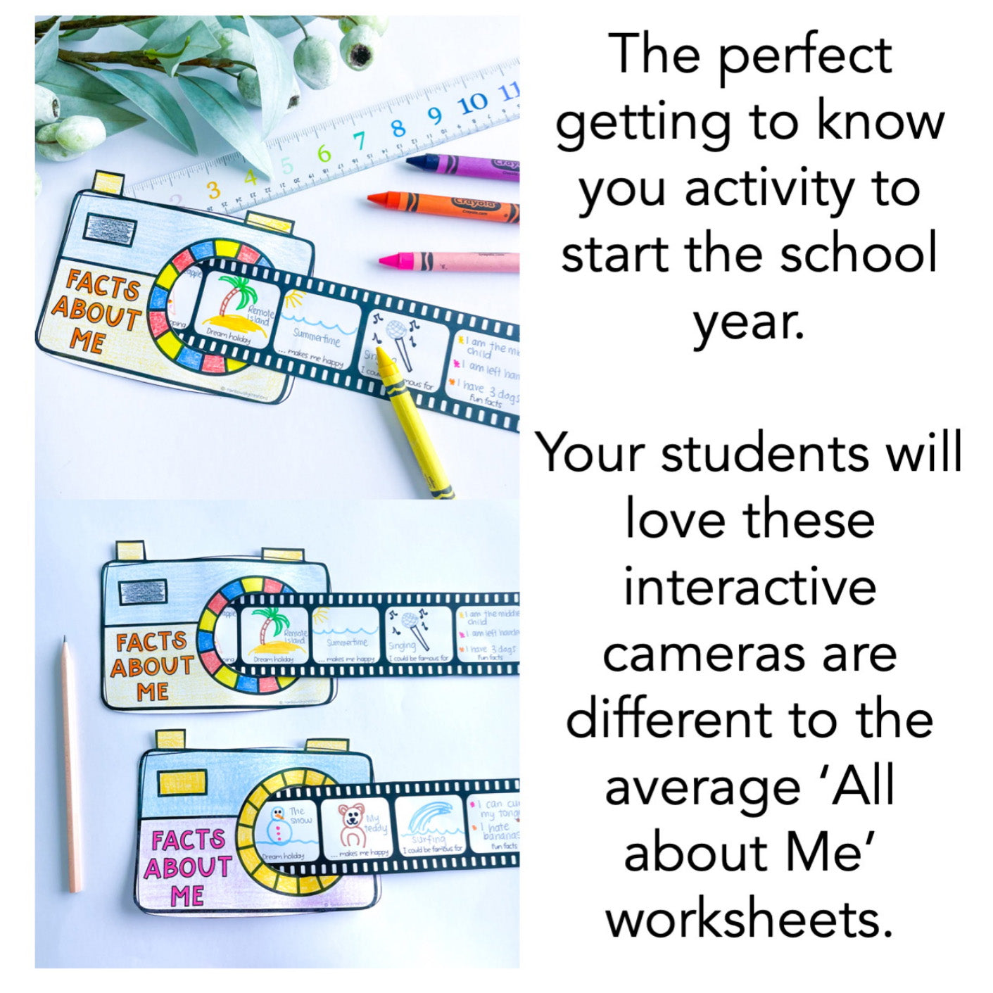All About Me Cameras | Back to School Display