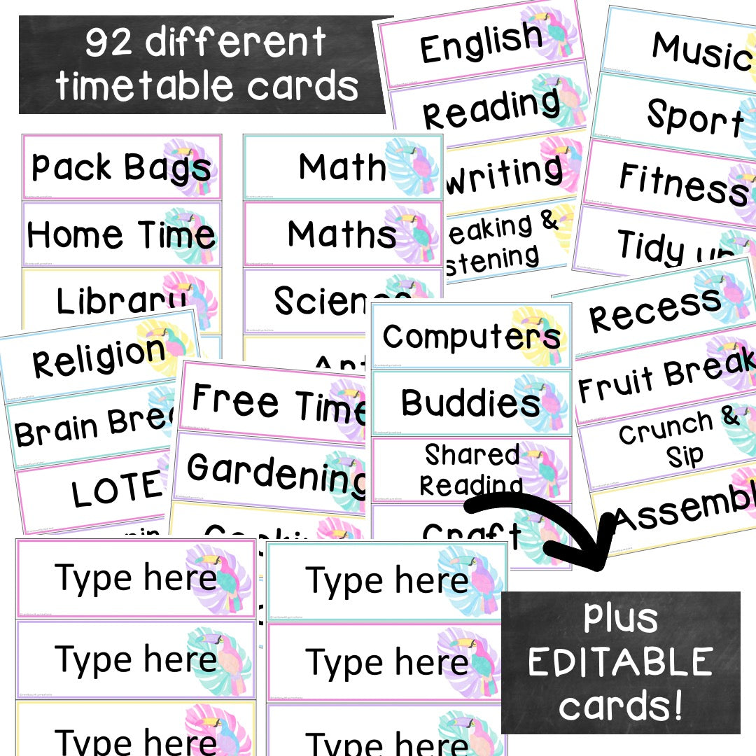Editable Daily Timetable & Class Schedule (Toucan Theme)