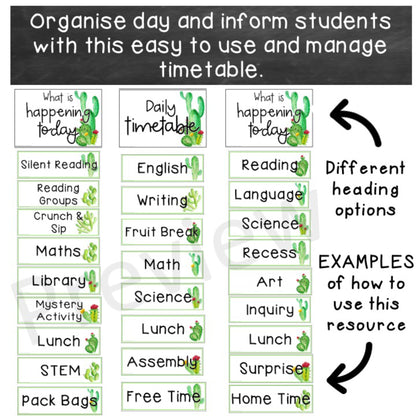 Editable Daily Timetable | Class Schedule [Cactus theme]