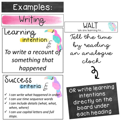 Learning Intention Posters / WALT WILF TIB / Success Criteria [Toucan theme]