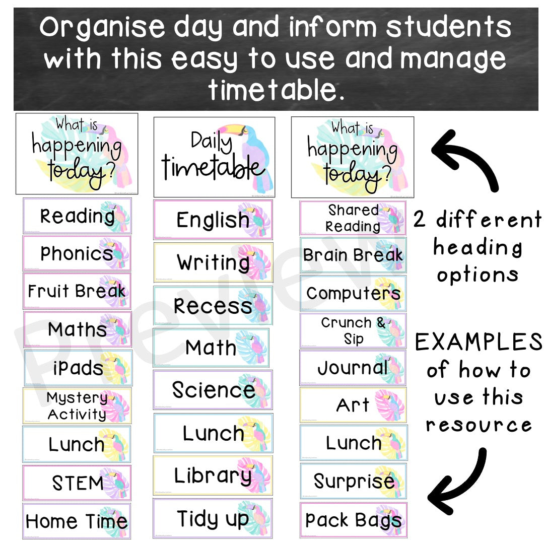 Editable Daily Timetable | Class Schedule [Toucan Theme]