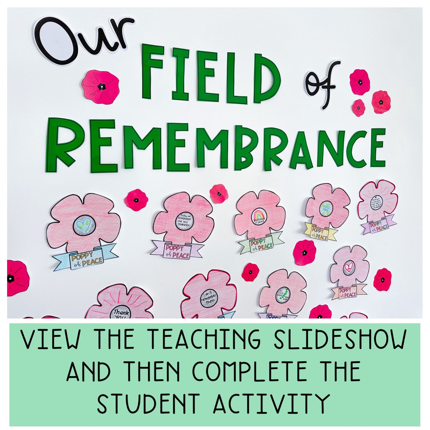 Remembrance Day Slideshow and Activity