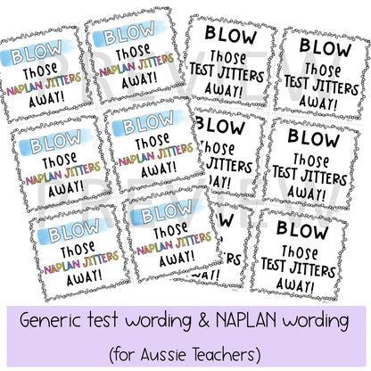 NAPLAN Testing Gift Tags