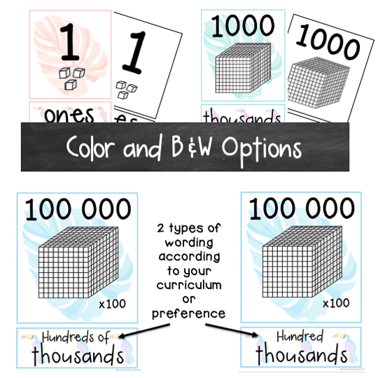 Place Value Posters | Interactive Place Value Chart {Toucan Theme}